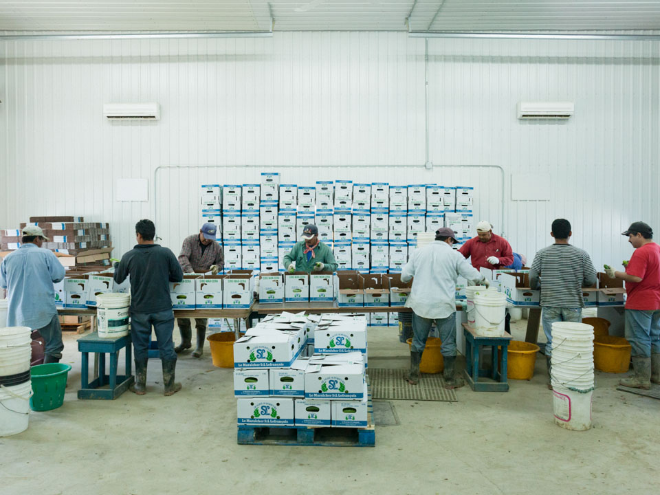 La Moitié Lointaine